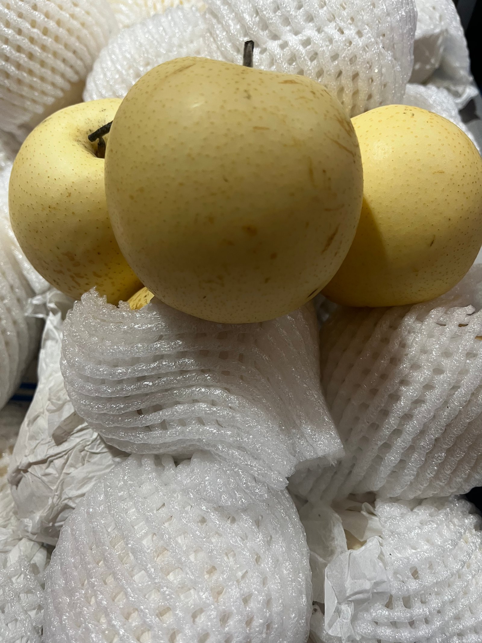 Pear Santuri