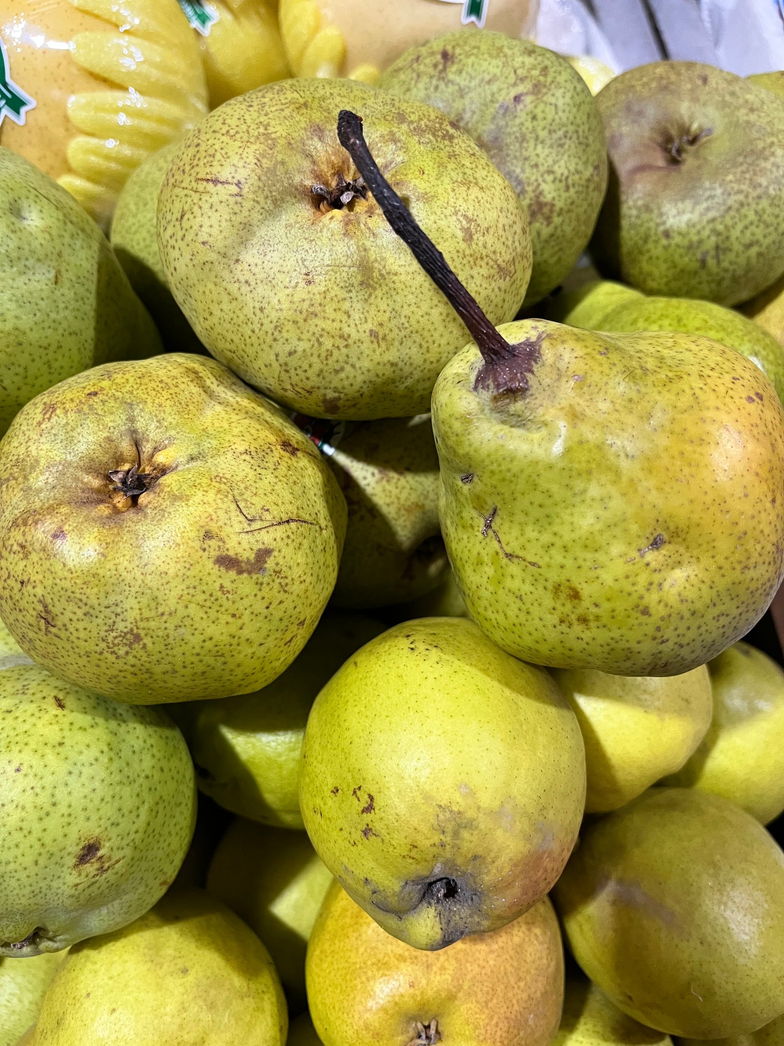 Pear Hijau