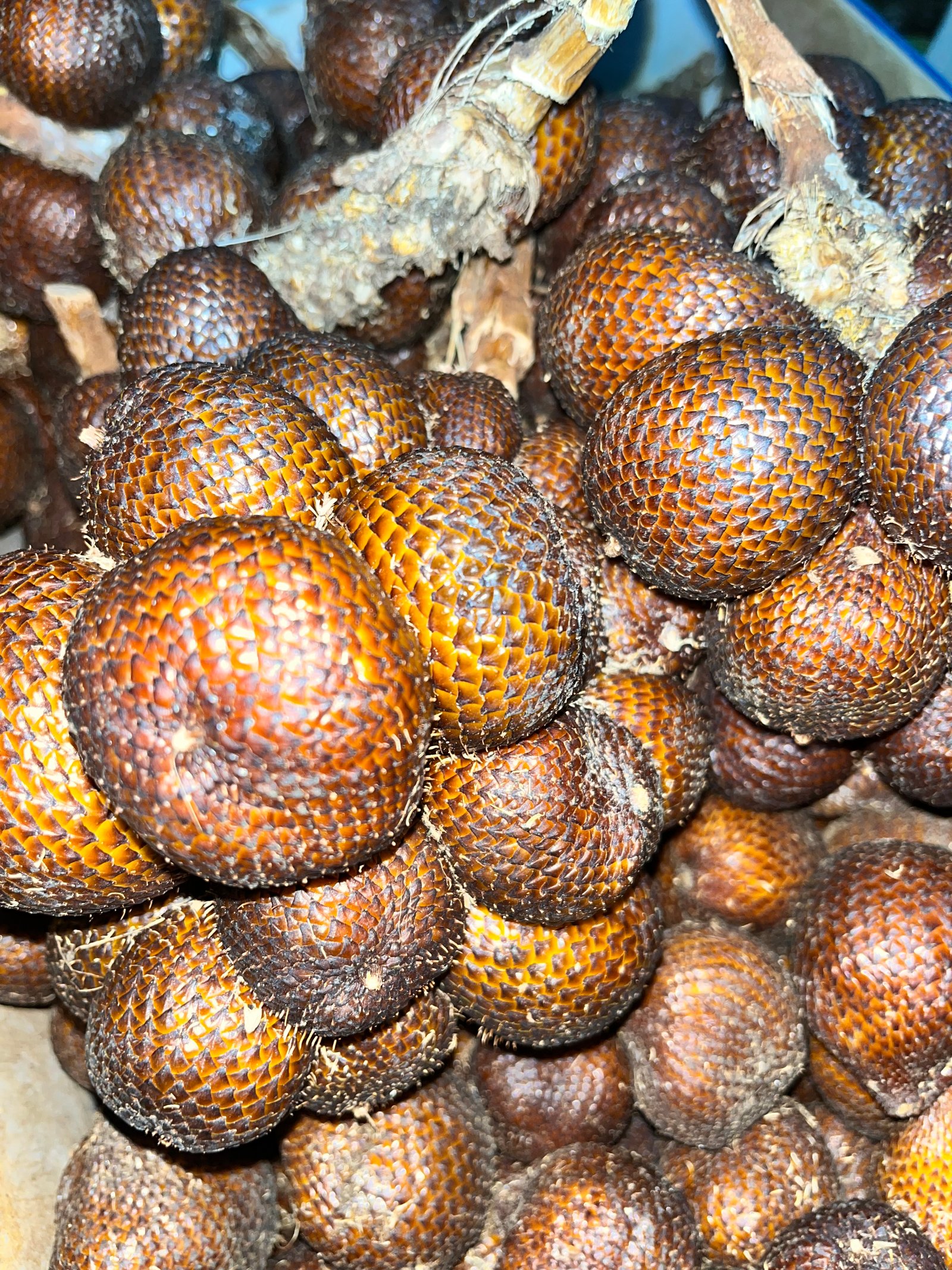 Salak Gula