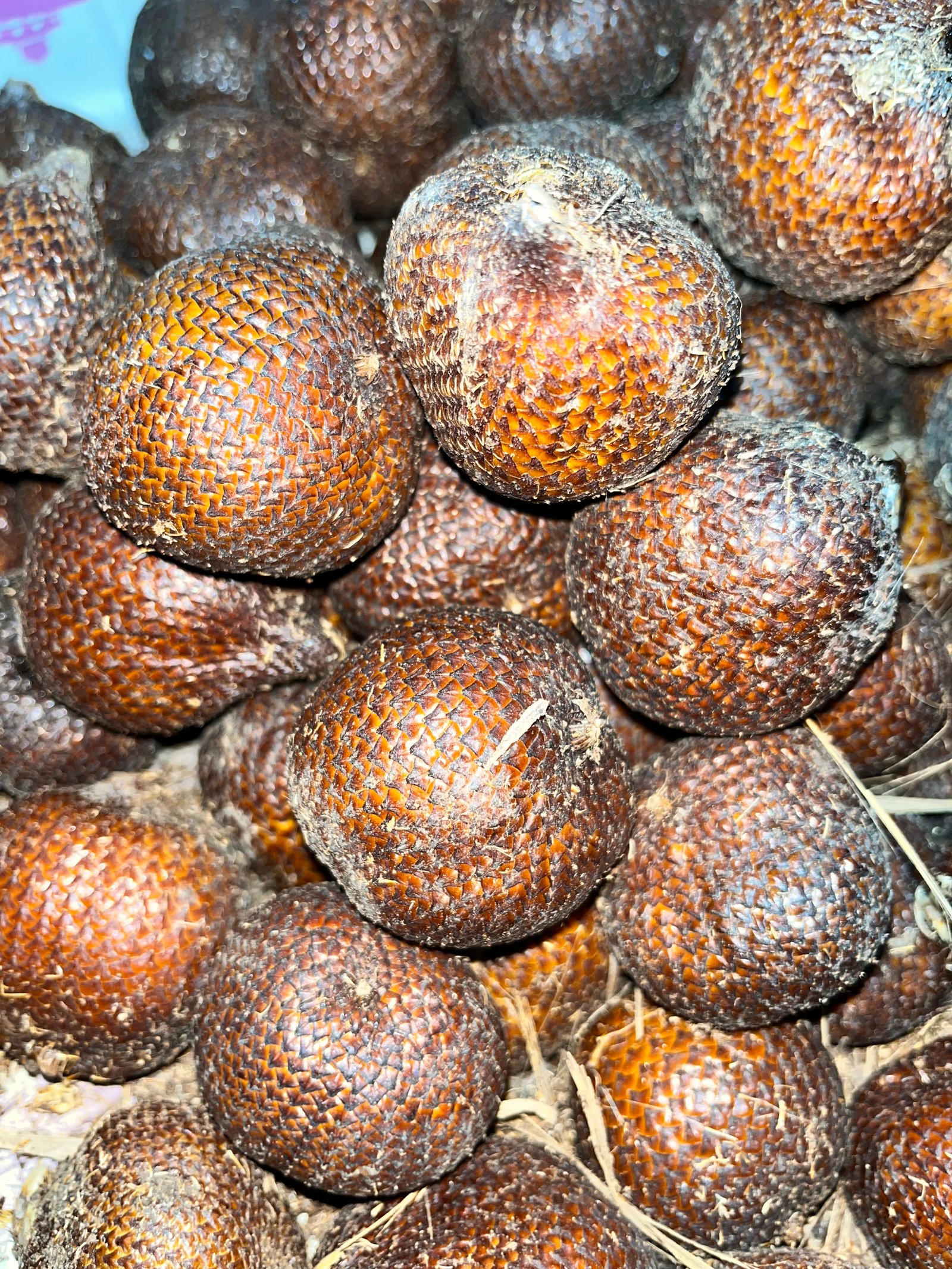 Salak Bali