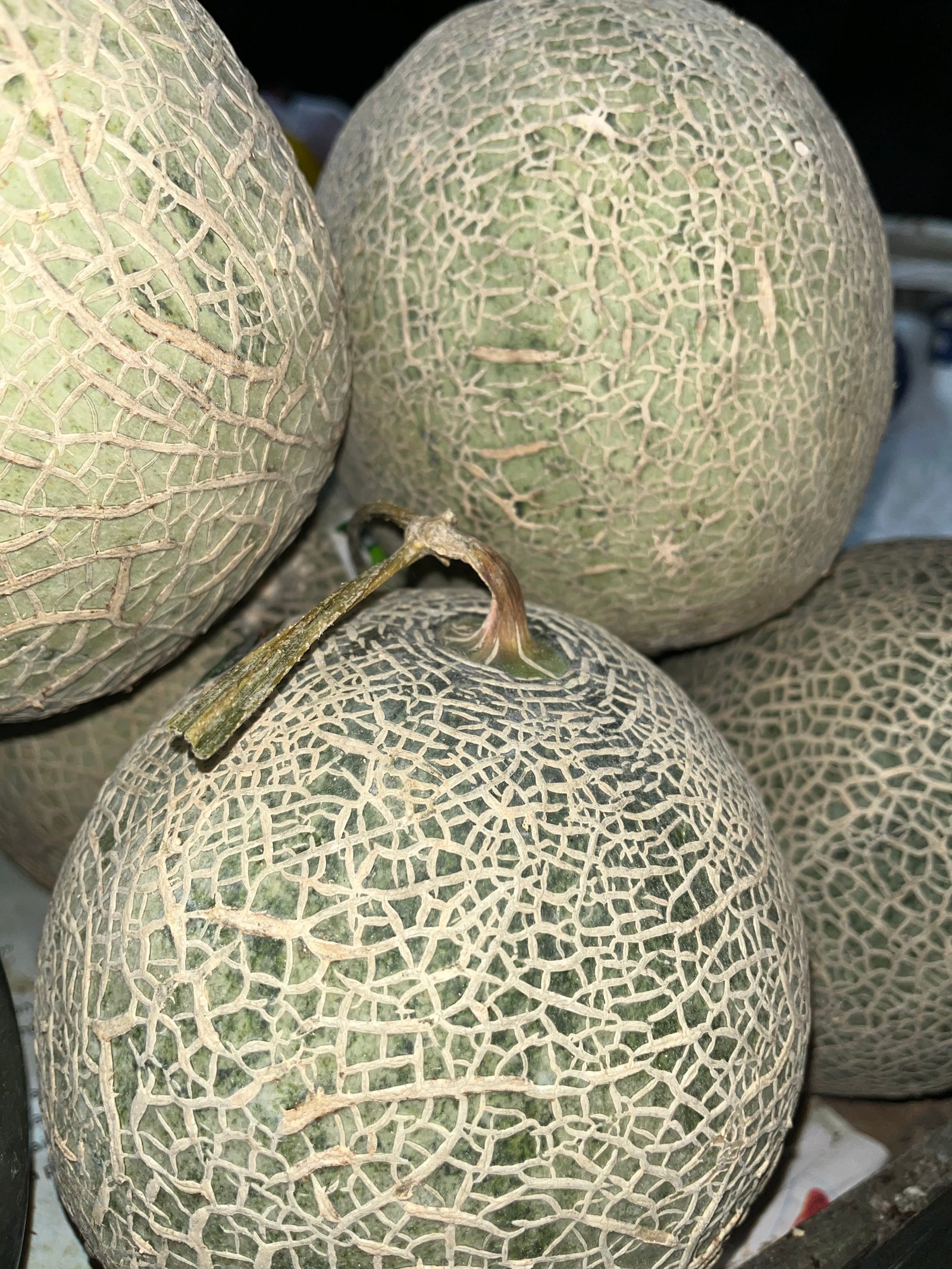 Melon