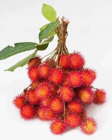 Rambutan