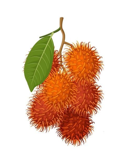 Kualitas Terjamin